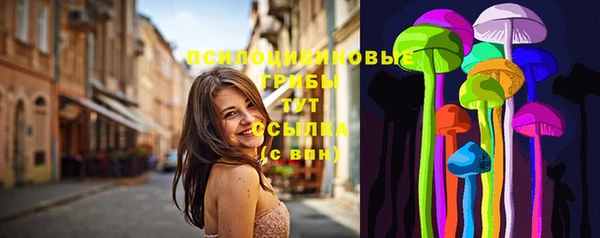 герыч Бронницы