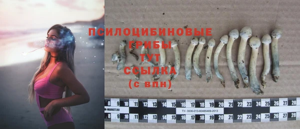 mix Бородино