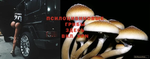 герыч Бронницы