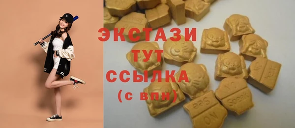индика Верхний Тагил