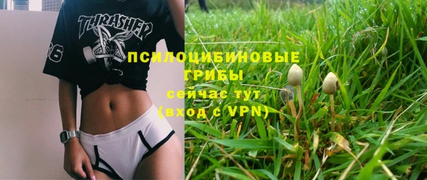 герыч Бронницы