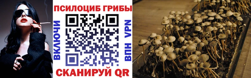 наркота  kraken ONION  Галлюциногенные грибы MAGIC MUSHROOMS  Мариинск 