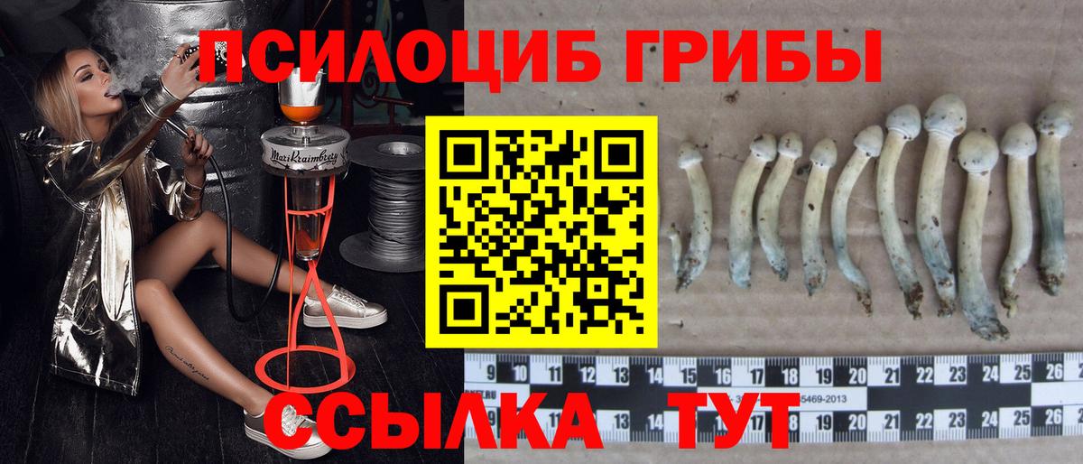 ГАШ  Alpha PVP СК   Кокаин  Мариинск  Марихуана  Вход с VPN  Меф МЯУ МЯУ  