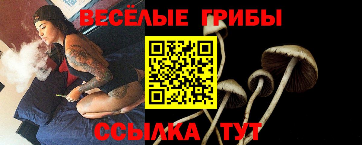 Псилоцибиновые грибы ЛСД Мариинск