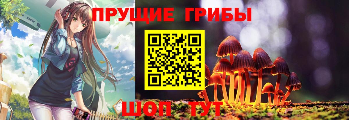 Псилоцибиновые грибы Psilocybine cubensis  Мариинск 
